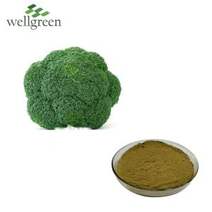 สารสกัดบร็อคโคลี่ผง Sulforaphane