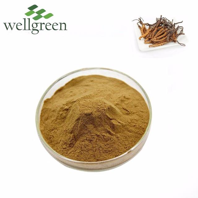 Wellgreen Supply Healthy Organic Cordyceps Sinensis Extract 10%-50% Polysaccharides