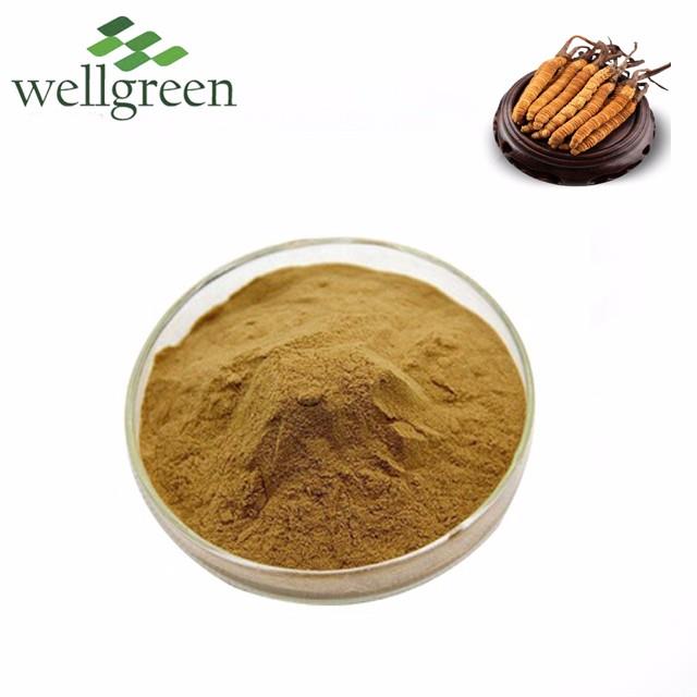 Wellgreen Supply Healthy Organic Cordyceps Sinensis Extract 10%-50% Polysaccharides