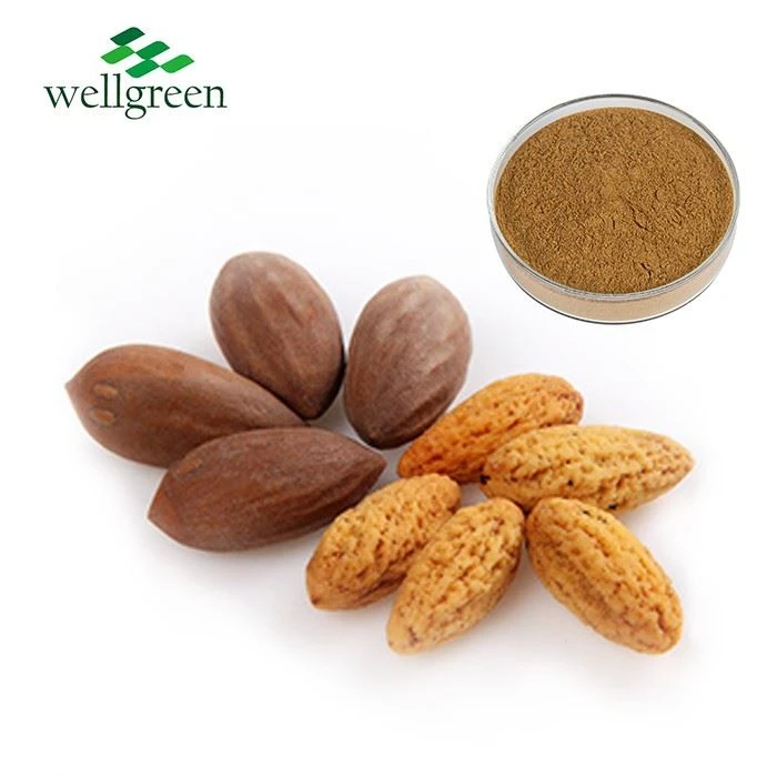 Torreya Seed Extract